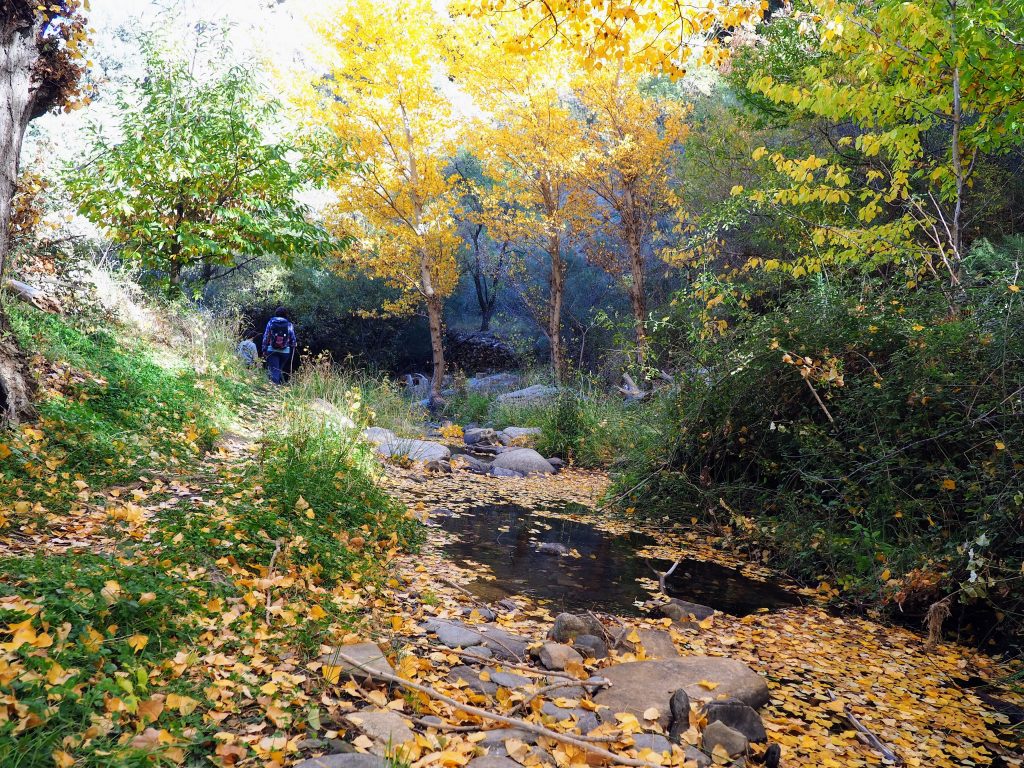 Senda del Agua de Bacares