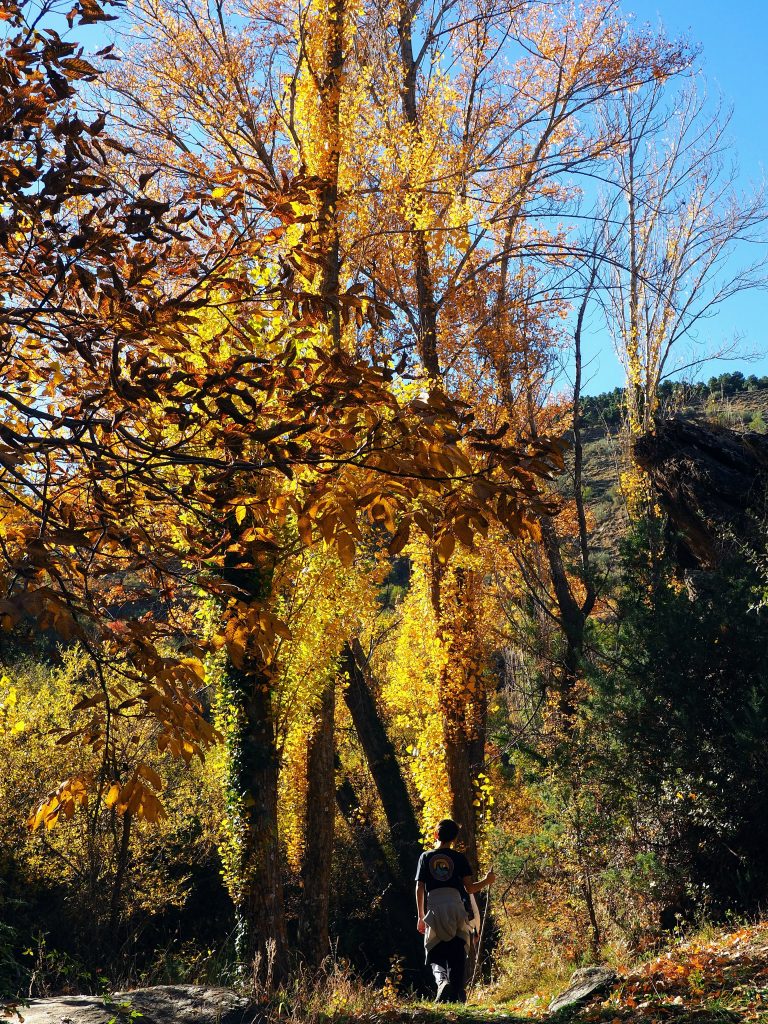 Senda del Agua de Bacares en otoño