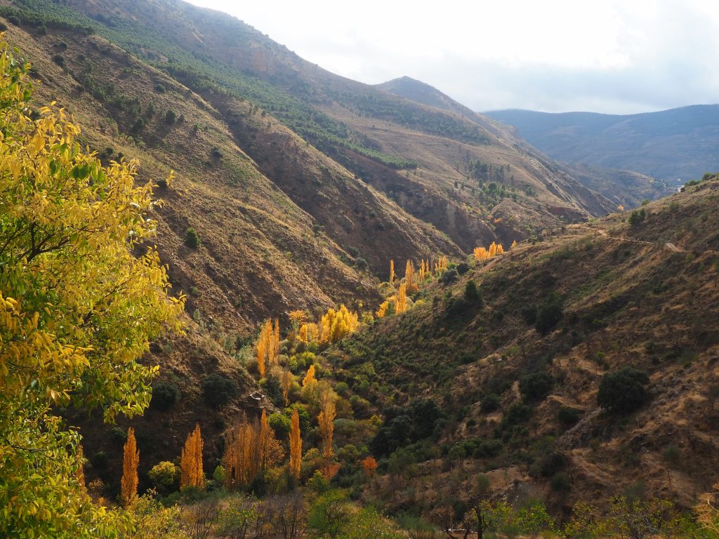 Valle del río Gergal